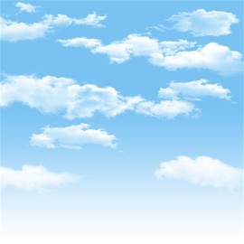 AOFOTO 8x8ft Blue Sky Backdrops White Clouds Photography Background Photo Studio Props Baby Infant Kid Newborn Toddler Girl Boy Adult Artistic Portrait Spring Party Decoration Summer Vinyl Wallpaper