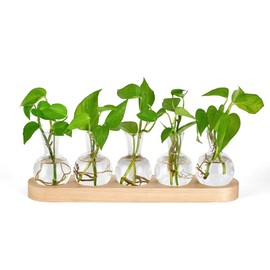 Mkono Desktop Plant Propagation Glass Vase Station Retro Plant Terrarium with Wooden Tray Bulb Flower Vase Container Perfect for Propagating Hydroponic Plants Home Office Decor Plant Lover Gift Idea