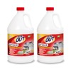 Iron OUT Liquid Rust Stain Remover, Pre-mixed, Quickly Removes Rust