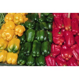 Seeds Sweet Pepper Rainbow Bell Red Mix Organic Heirloom Ukraine