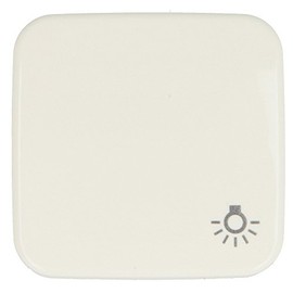 Busch-Jaeger 2520 LI-214 Flush-Mounted Programs