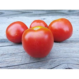 Stupice Tomato Premium Seeds for Planting Packet