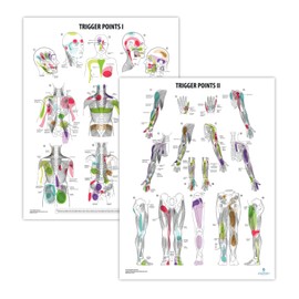 2 PACK Trigger Points I & II Poster Set, LAMINATED, Anatomy and Physiology Poster, 17.3 x 22.5 Inches, Trigger Points Diagram, Human Anatomical Chart, Extremity Trigger Points