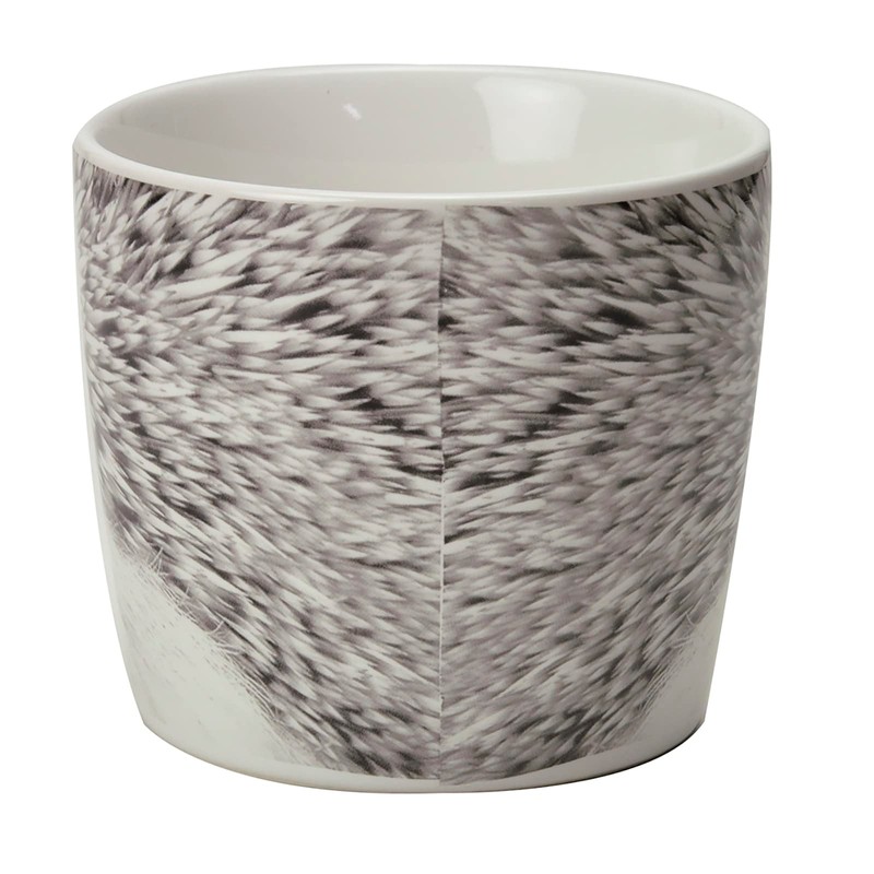 St New Grown Pottery Set Hannah & Animals GD –