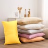 NTBAY King Pillowcase Set - 2 Pack Brushed Microfiber 20x36