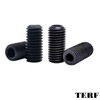 TERF® M8 X 20mm Allen Head Hex Socket Grub Screws