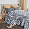 JYK Flannel Fleece King Blanket, 90"x104", Super Soft Plush Microfiber