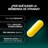 VITANNA® Berberina Liposomal 500 mg | 2 meses