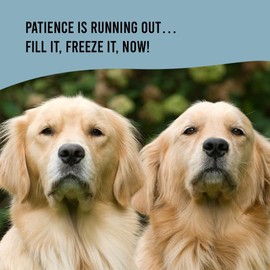 They Go Bananas Dog Treats | Fill & Freeze Chews for Dogs | 4.2oz (120g) - 6 Chews, Grain-Free Dog Treats for Dogs (Pack of 1, Strawberry Blueberry)