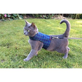 Mynwood Cat Jacket/Harness Black Watch Tartan Adult Cat