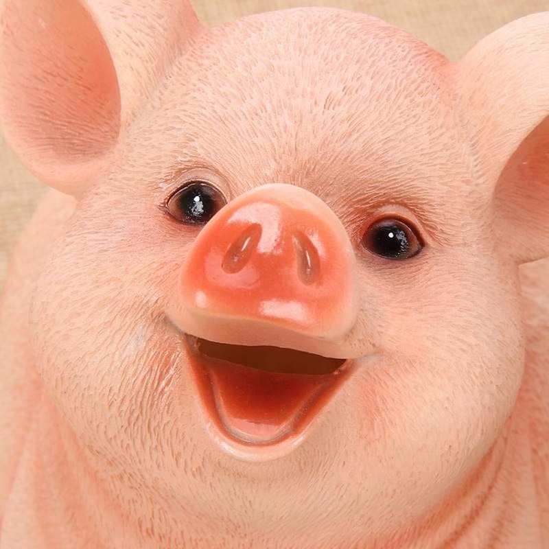 Queen-b Pig Money Box, Realistic Animal Interior, Cute, Decorative, Accessory,