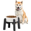 CZPET Dog Bowl Stand with Adjustable Width [Stand Only], Single