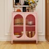 LYMOUYEE 2 Translucent Door Metal Accent Storage Cabinet for Bedroom,
