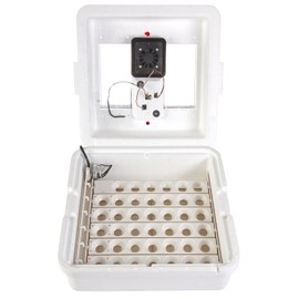 Little Giant Little Giant? Digital Circulated Air Incubator with Automatic Turner | 41 Eggs | Egg Incubator with Fan and Egg Turner