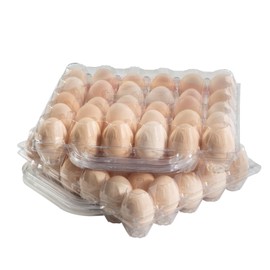 Lifuope 30 Piece Portable Transparent Egg Cartons Plastic Egg Container Specification 5×6 30 Piece Plastic Egg Paper Box Suitable For Farm Egg Carton (5x6 30 portable bulk egg cartons, 30 pieces)