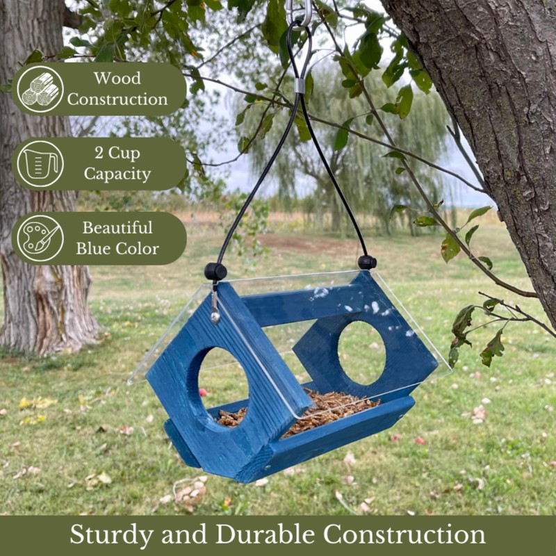 Backyard Essentials Petite Bluebird Feeder with Plexiglass Roof and Powder