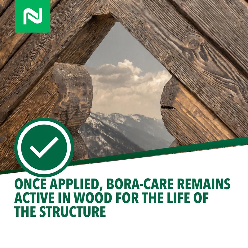 Bora-Care Termiticide Insecticide and Fungicide Concentrate, Wood Treatment for Termite