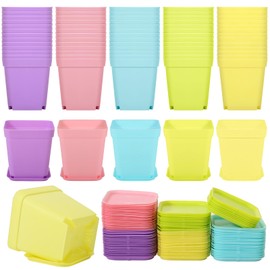 Tioncy 100 Pcs 3 Inch Mini Plant Pots with Tray, Colorful Plastic Plant Pots Flower Seedling Pots Nursery Pots with Saucers for Garden, Indoor Outdoor, Home, Office, Balcony Decor