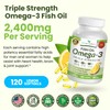 Best Triple Strength Omega 3 Fish Oil Pills 2400mg |