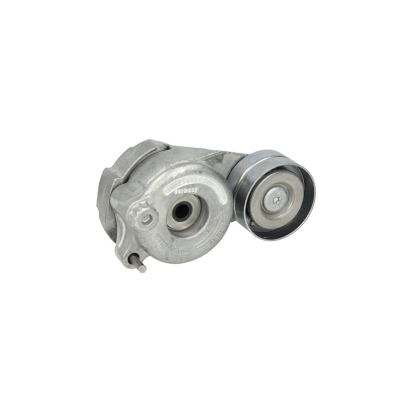 INA 534 0288 10 Spannarm, Keilrippenriemen