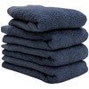 Hiorie, Made in Japan, Antibacterial/Deodorizing Processed Hotel Style Towels, Face