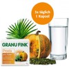 GRANU FINK Prosta plus Sabal Hartkapseln 60 St