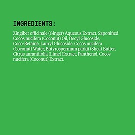 Alaffia Champú de coco EveryDay, hidratante y limpieza profunda para cabello normal a seco. Fabricado con aceite de coco y jengibre de comercio justo,