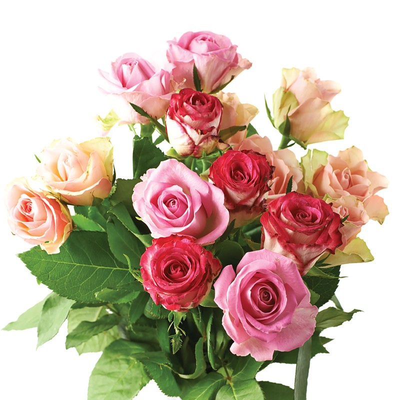 Jobe's Organics Granular Rose Fertilizer, Organic Plant Fertilizer for Rose,