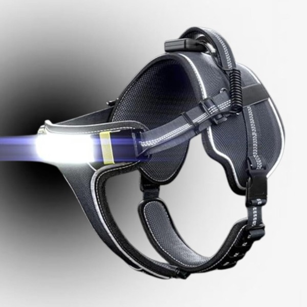 Lumi One LED Dog Harness for Night Visibility and Safety,