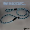 Max and Neo Rope Slip Lead Reflective 5 Foot -