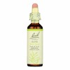 Bach Original Flower Remedies Homeopathic Liquid Drops, Olive, 20 ml