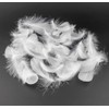 Kingsie Natural Feather 100-Piece Set Feather Shower Handicraft Material Wedding
