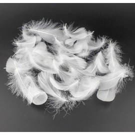 Kingsie Natural Feather 100-Piece Set Feather Shower Handicraft Material Wedding Performance (White)