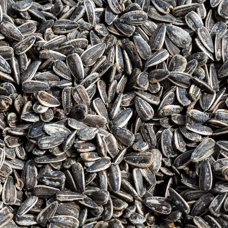 Alises- Pipas Giant Roasted and Salted - Spanish Snack -