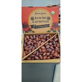 Rancho Las Novias. 1 LB LARGE PREMIUM ORGANIC MEDJOOL DATES FRESH ARIZONA'S GROWN.