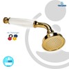 Tecuro Nostalgie – 1-Jet Hand Shower Gold Metal Design
