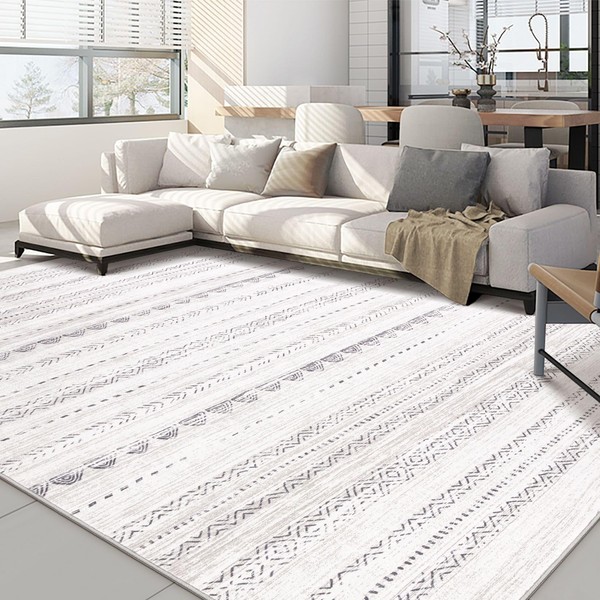 Area Rug Living Room Rugs: 5x8 Large Soft Machine Washable