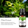 Petitgrain Essential Oil 100% Pure Oganic Plant Natrual Petitgrain Oil