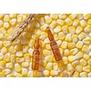 Germinal With instant effect - The face serum with corn