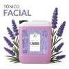 Productos Mart Mexico Tónico Facial Lavanda 5L Hipoalergénico Sin Parabenos
