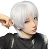 PEACOCO Men's Short Wig, Wig, Masculine Costume, Blonde Wig, Wolf,