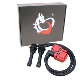 AIP Electronics Dragon FIRE Performance Power Pack Ignition Coil Pack and Spark Plug Wire Set Compatible with 2014-2017 Polaris RZR 900 1000 XP Turbo 4017694 4017695 OEM Fit Kit-1136