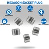LifCratms 3/8" NPT Male Plug, 304 Stainless Steel Internal Hex