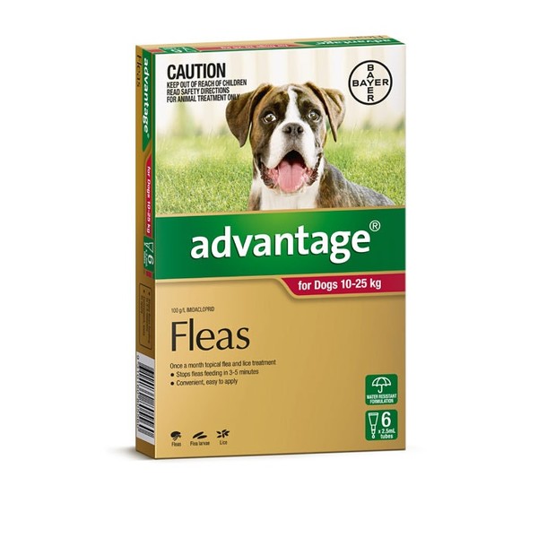 Advantage For Large Dogs (10-25kg) - 6 Pack