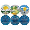 Sobriety Coins Set 1-12 Months Alcoholics Anonymous Medallions AA Chip