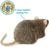Reuben The Rat | 7 Inch Stuffed Animal Plush |