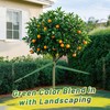 2,425 Lbs Strength Tree Straps - 216FT Tree Tie Support
