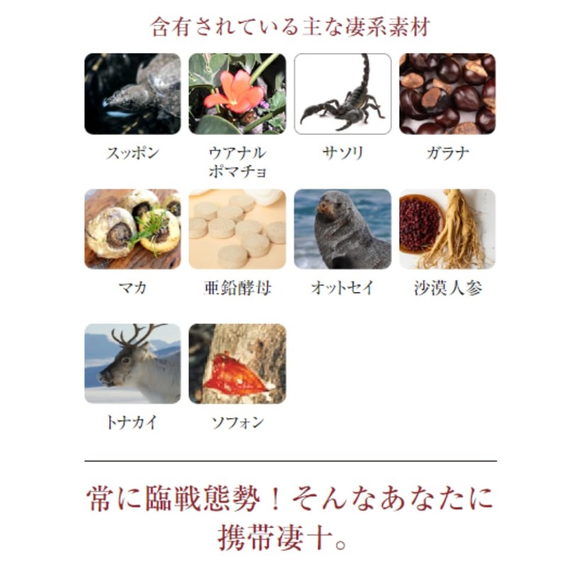 宝仙堂の凄十 すごじゅう 1dayパック×3袋