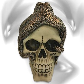 mtb more energy Decorative Skull "Octo-Skull" - Octopus on Skull - Height 13 cm Figure Decoration Fantasy Octopus