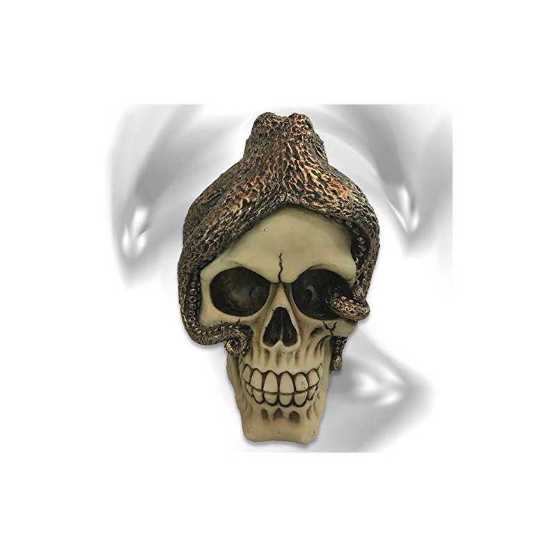 mtb more energy Decorative Skull "Octo-Skull" - Octopus on Skull
